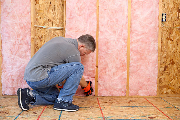 Best Insulation Installation Services in Lockport, LA
